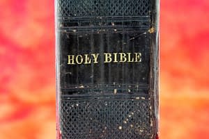 The New Testament is the scripture of Christianity